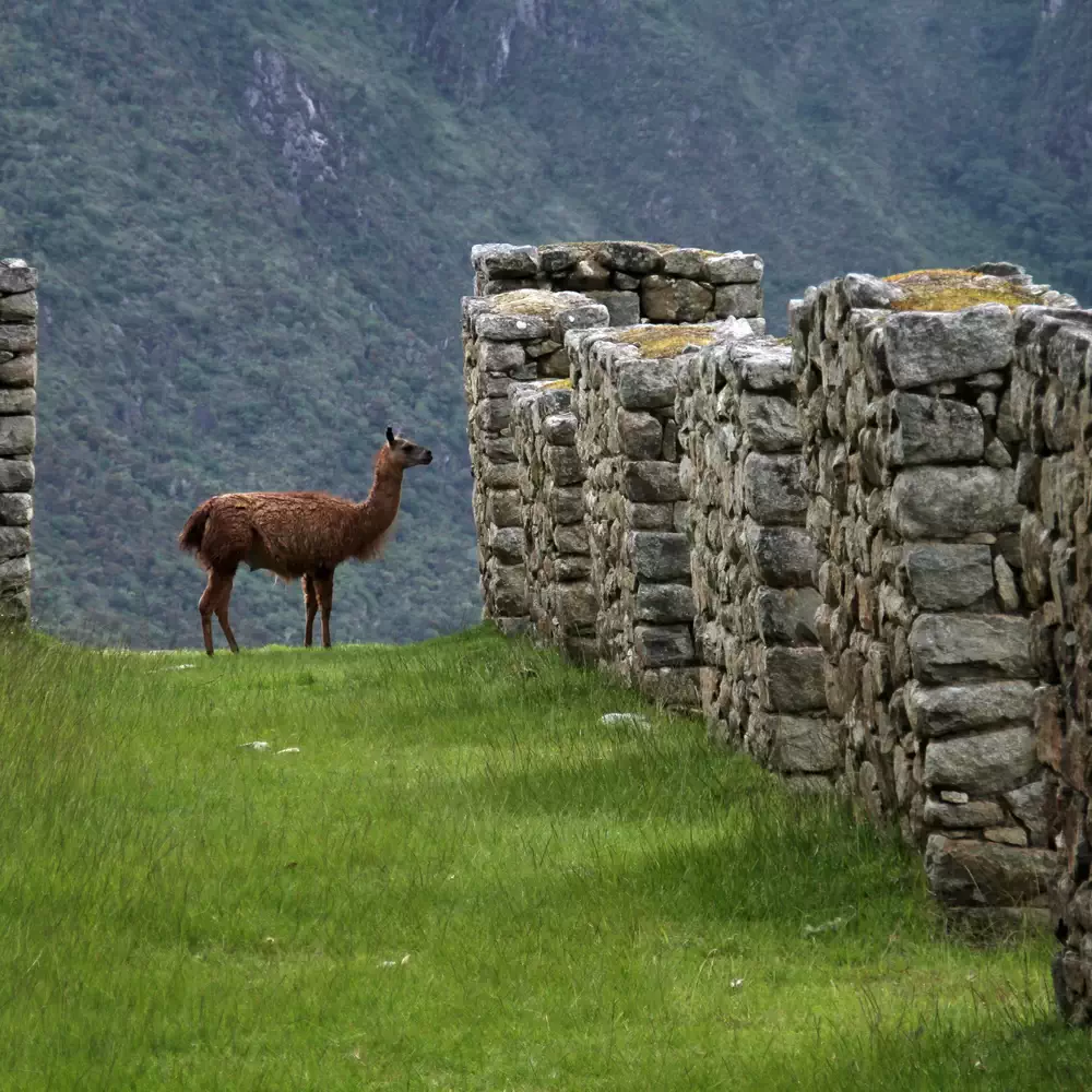 Machu Picchu Machu Picchu