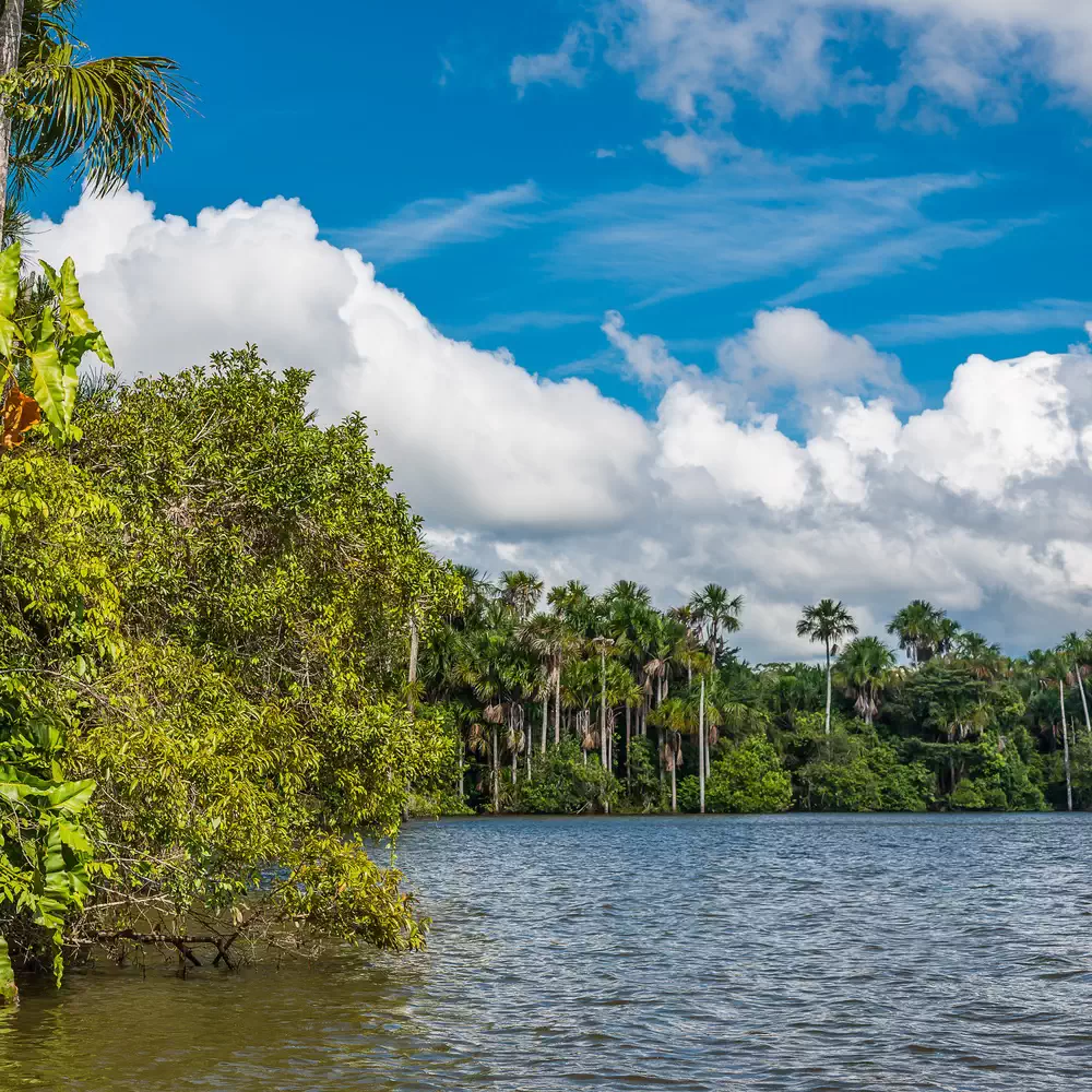 Madre de Dios - Tambopata